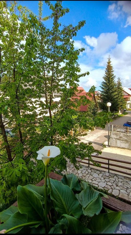 Apartments Sipcic 자블야크 외부 사진